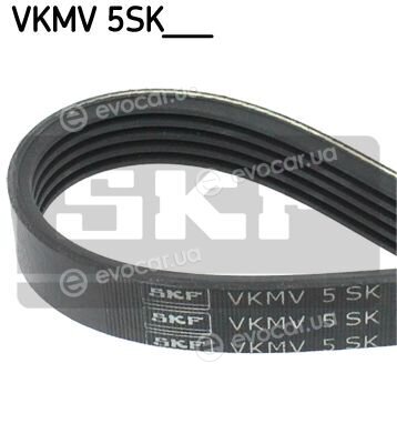 SKF VKMV 5SK705