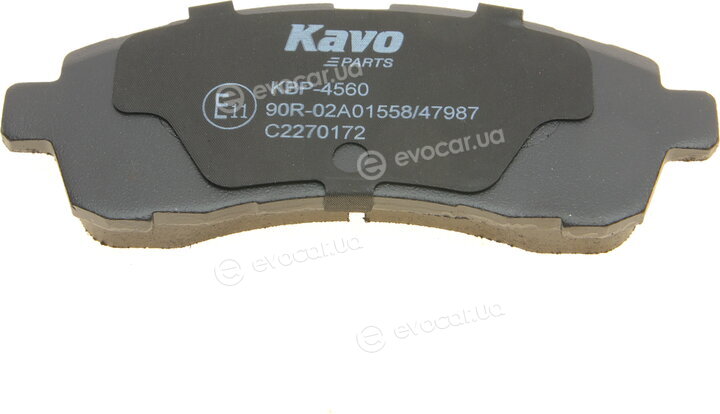 Kavo KBP-4560