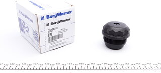 BorgWarner DS120359