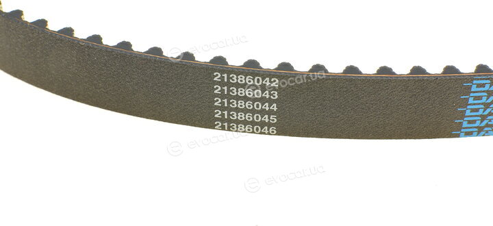 Dayco KTBWP8841