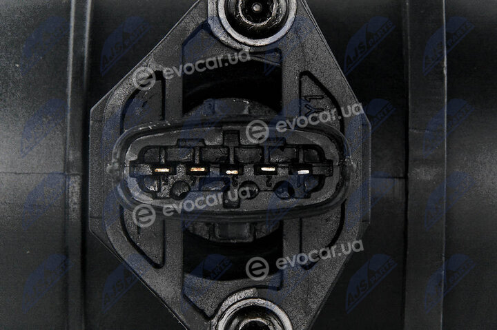 NTY EPP-VV-001