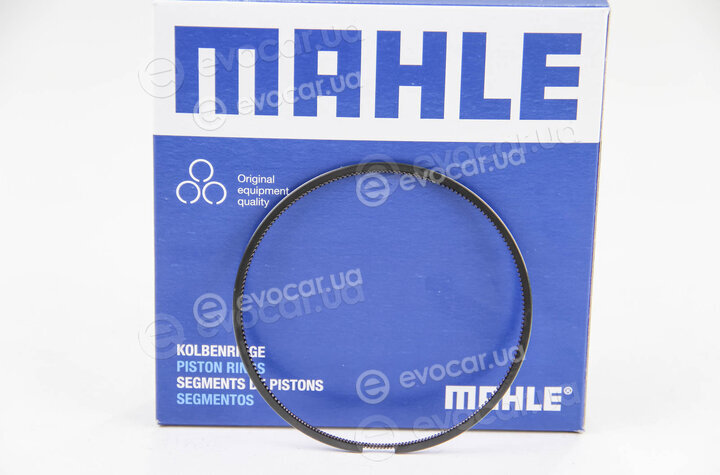 Mahle 009 81 N0