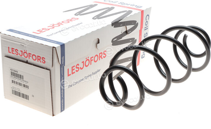 Lesjofors 4215643