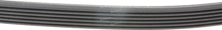 Continental 6PK2550
