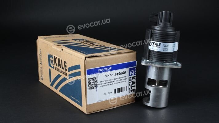 Kale 349060