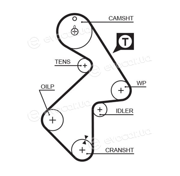 Gates K015202XS