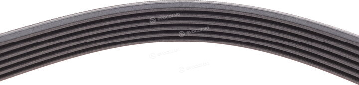Continental 6PK2271