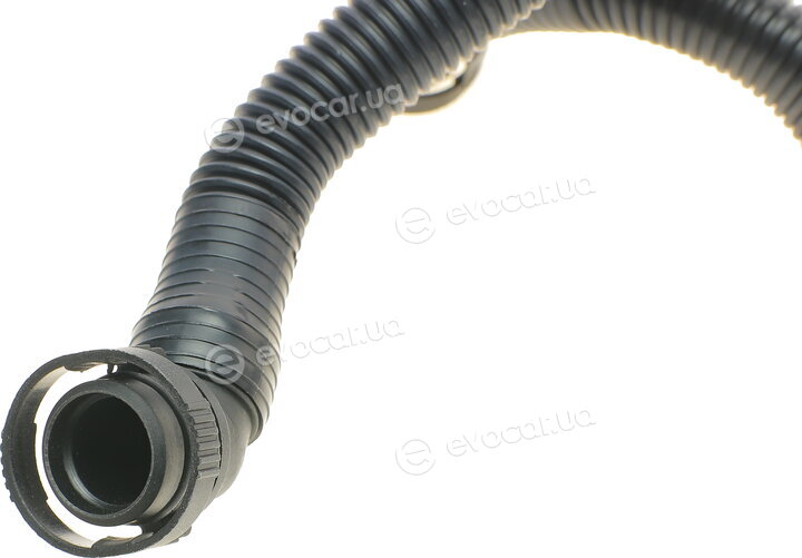 AIC 56880