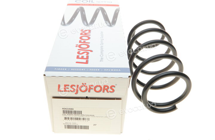 Lesjofors 4063480