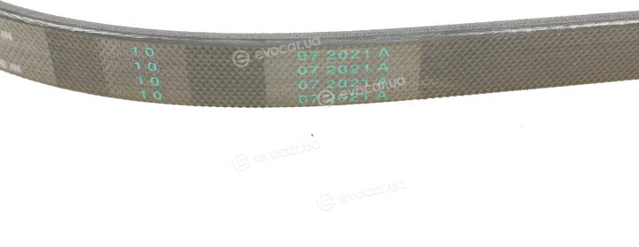 Continental 4PK905