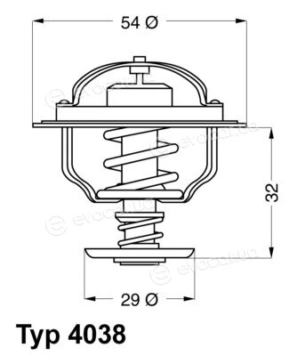 Wahler / BorgWarner 4038.81D