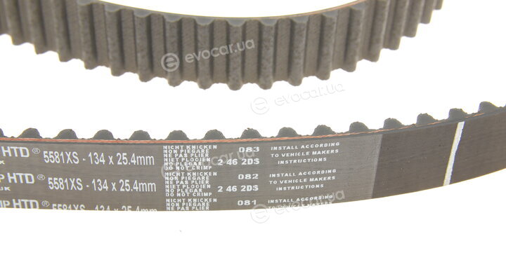Gates K025581XS