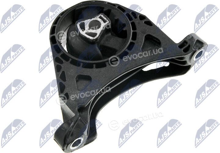 NTY ZPS-PL-011