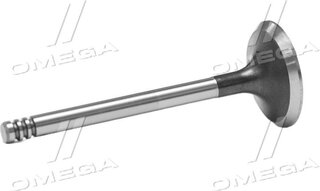 Gunes 6003