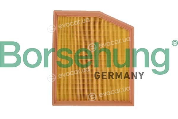 Borsehung B12701