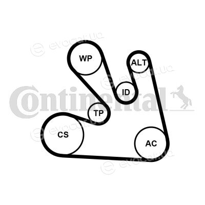 Continental 7PK1705K1