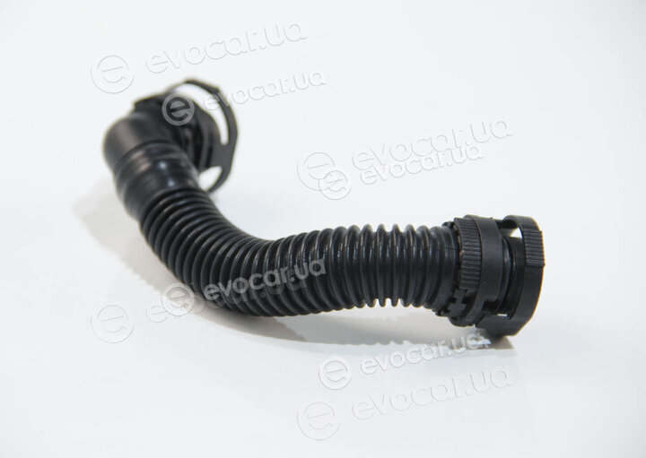 Rapro R25955