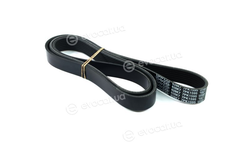 Dayco 7PK1595