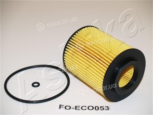 Ashika 10-ECO053