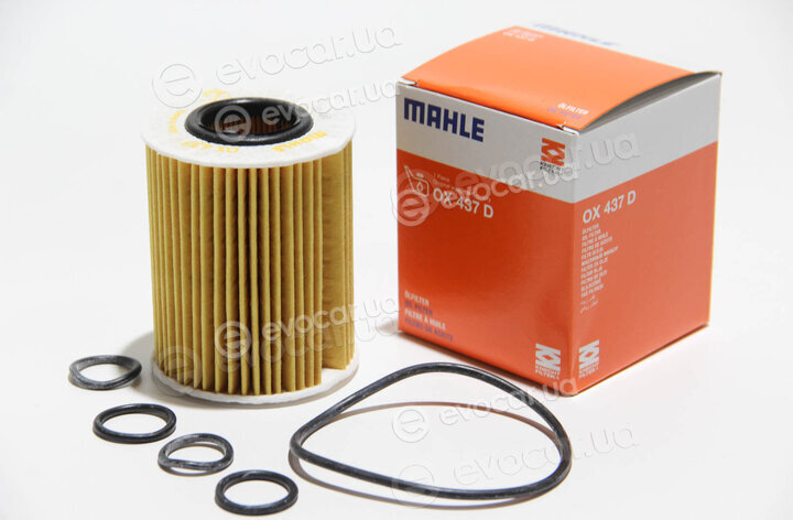 Mahle OX 437D