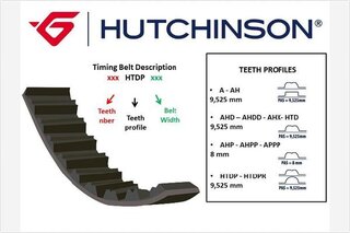 Hutchinson 101 HTDP 17