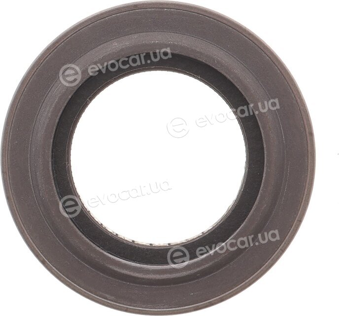 Elring B30.700