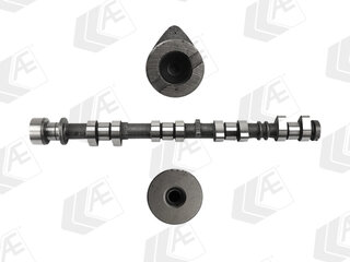 AE CAM1079