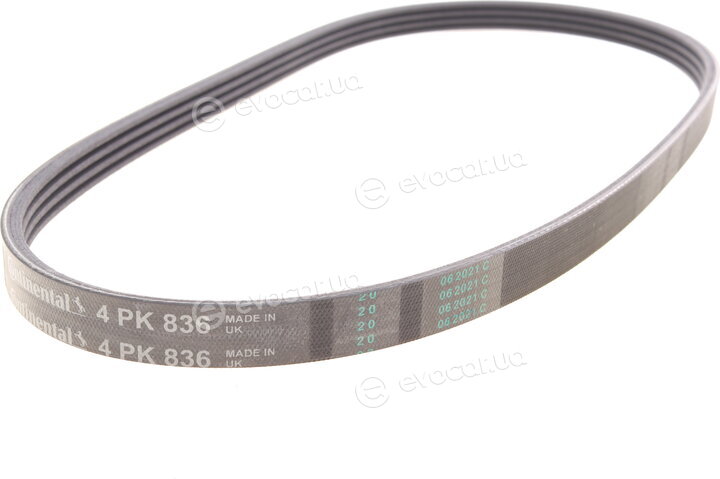 Continental 4PK836