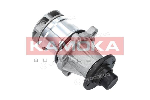 Kamoka T0057