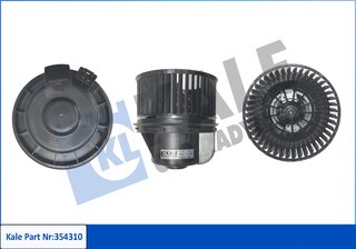 Kale 354310