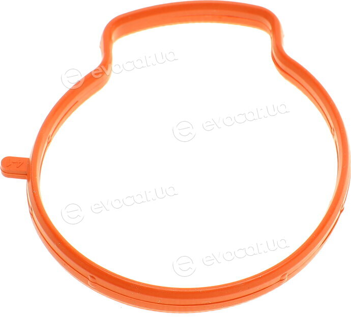 Elring 855.060
