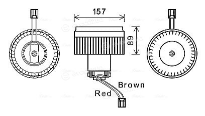 Ava Quality VO8176