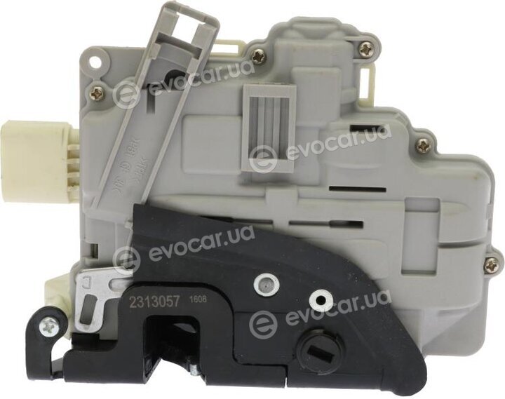 AIC 55964