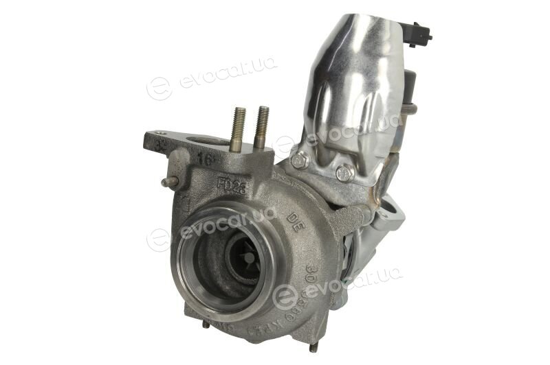 BorgWarner 54309880000