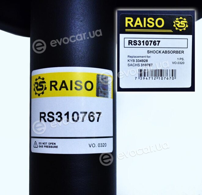 Raiso RS310767
