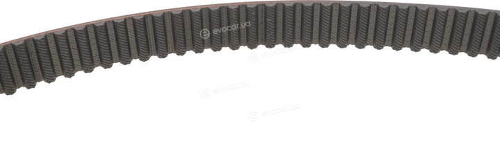 Dayco 94919