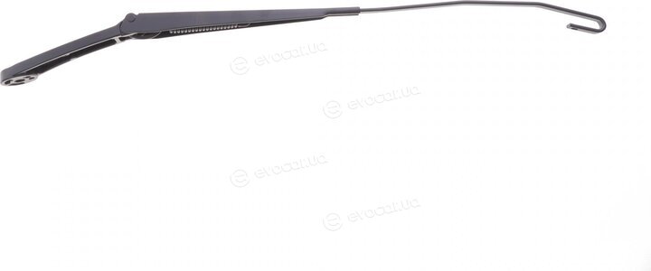 Solgy 307066