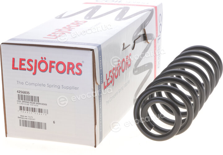 Lesjofors 4256835