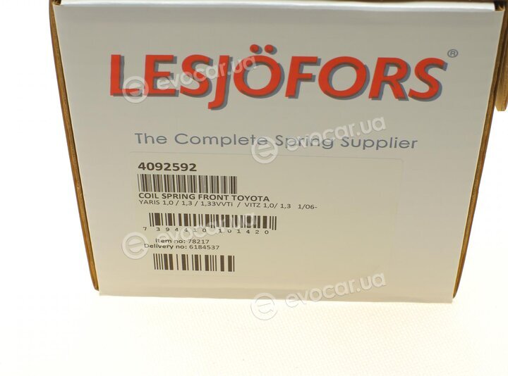 Lesjofors 4092592