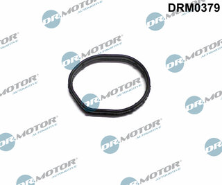 Dr. Motor DRM0379