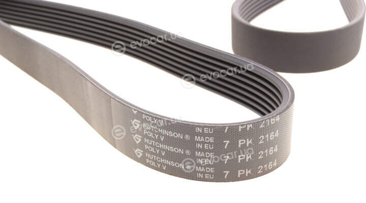Hutchinson 2164 K 7