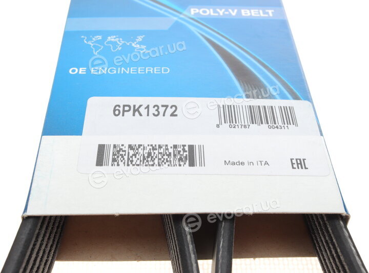Dayco 6PK1372