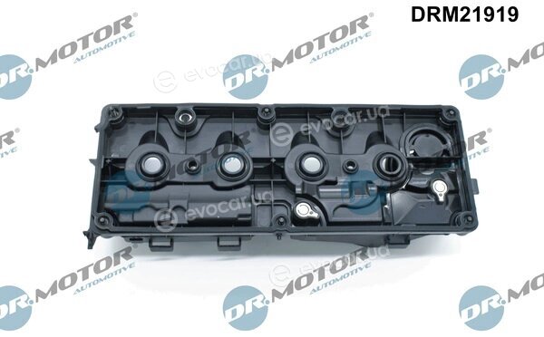 Dr. Motor DRM21919