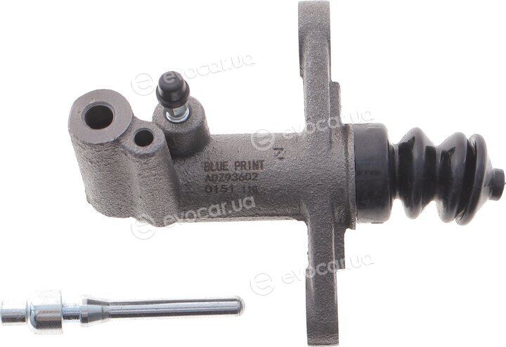 Blue Print ADZ93602