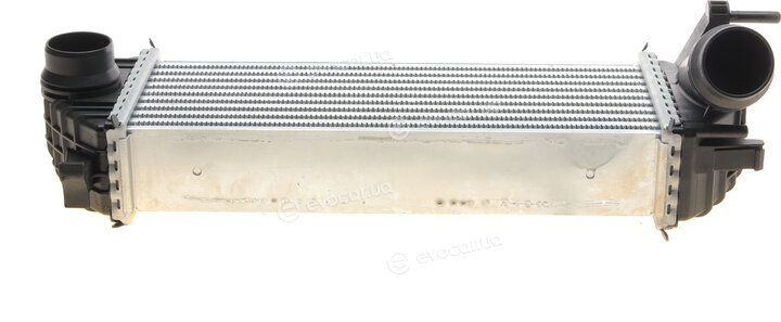 Van Wezel 43004615