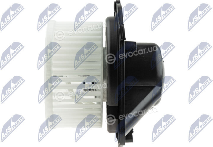 NTY EWN-VW-004