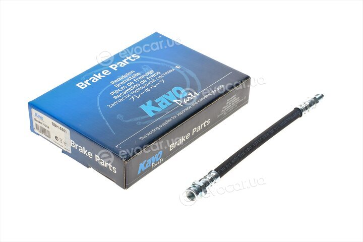 Kavo BBH-5551