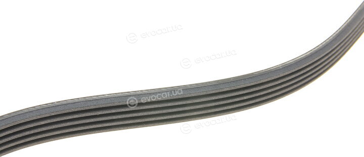 Continental 5PK934