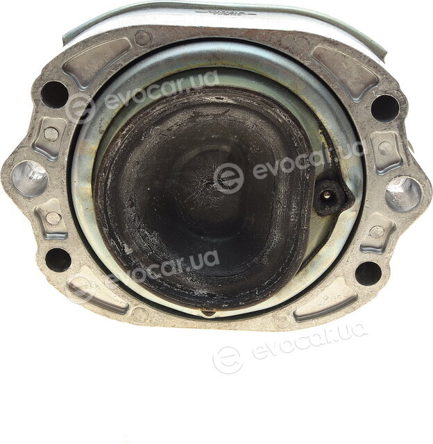 Bogap B1918104