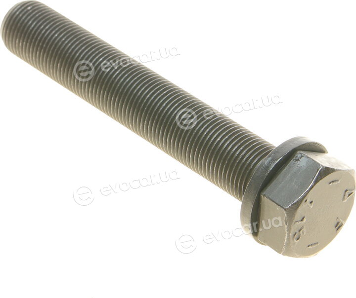 Dayco KTBWP4890